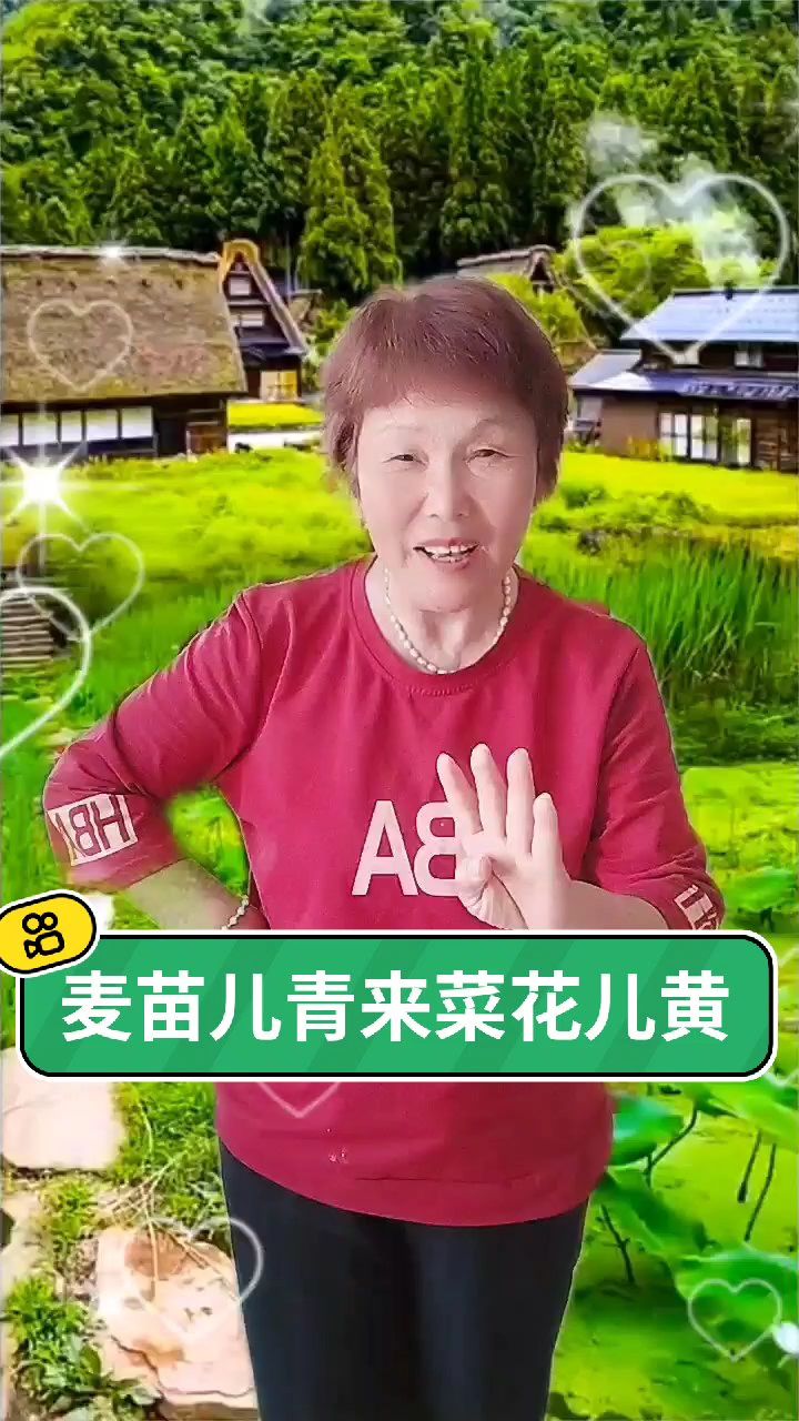 麦苗儿青来菜花儿黄