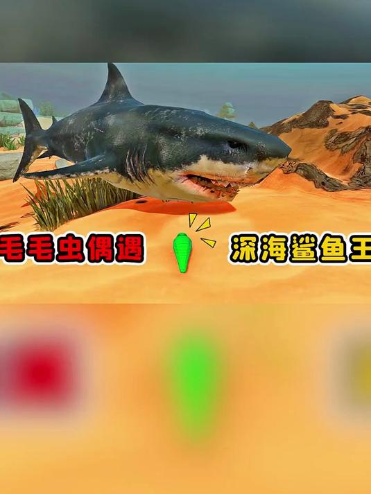 海毛毛虫,遇到深海鲨鱼王