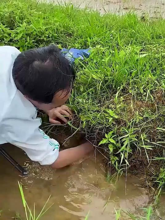 爱吃鱼必囤!304 不锈钢刮鳞神器,杀鱼去鳞干净高效超省心