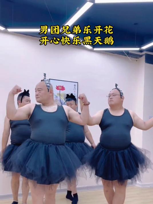 黑天鹅遇上白天鹅,家养的和野生的到底有什么区别?快来看看吧