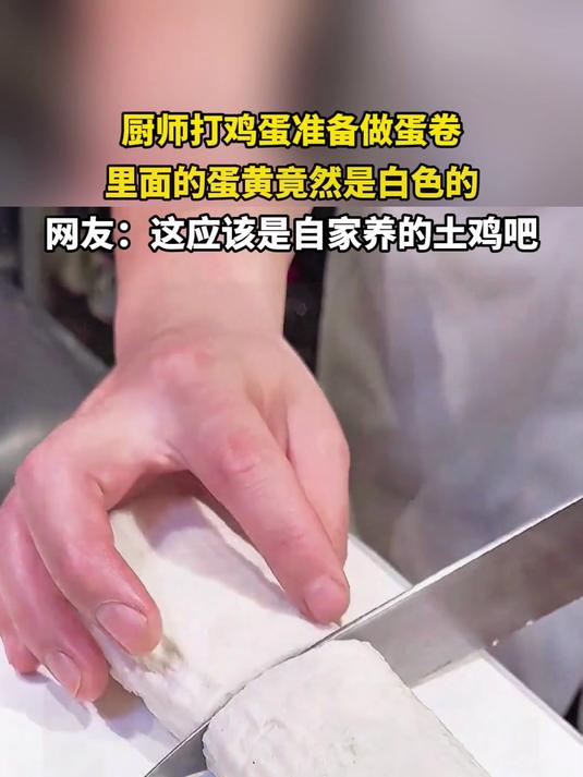厨师打开鸡蛋准备做蛋卷,里面的蛋黄竟然是白色的