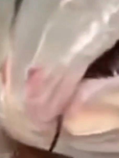 钓鱼佬闻之色变，巨爆牙鱼一口能咬断手指