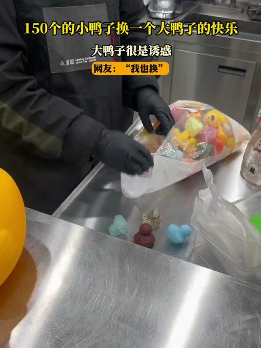 150个的小鸭子换一个大鸭子的快乐,大鸭子很是诱惑