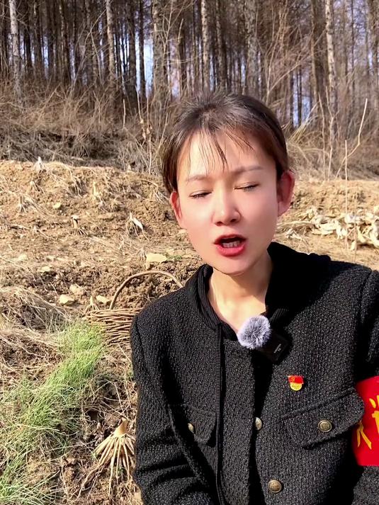 在东北,田间地头的野菜你吃过吗?