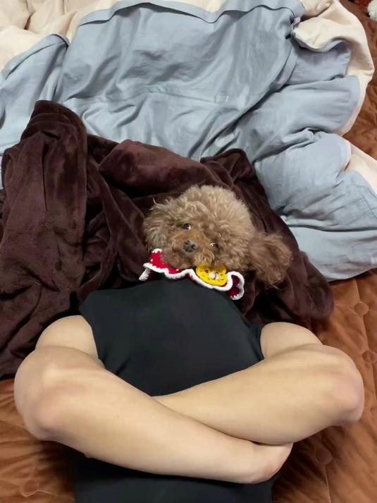 满级狗崽 肌肉狗