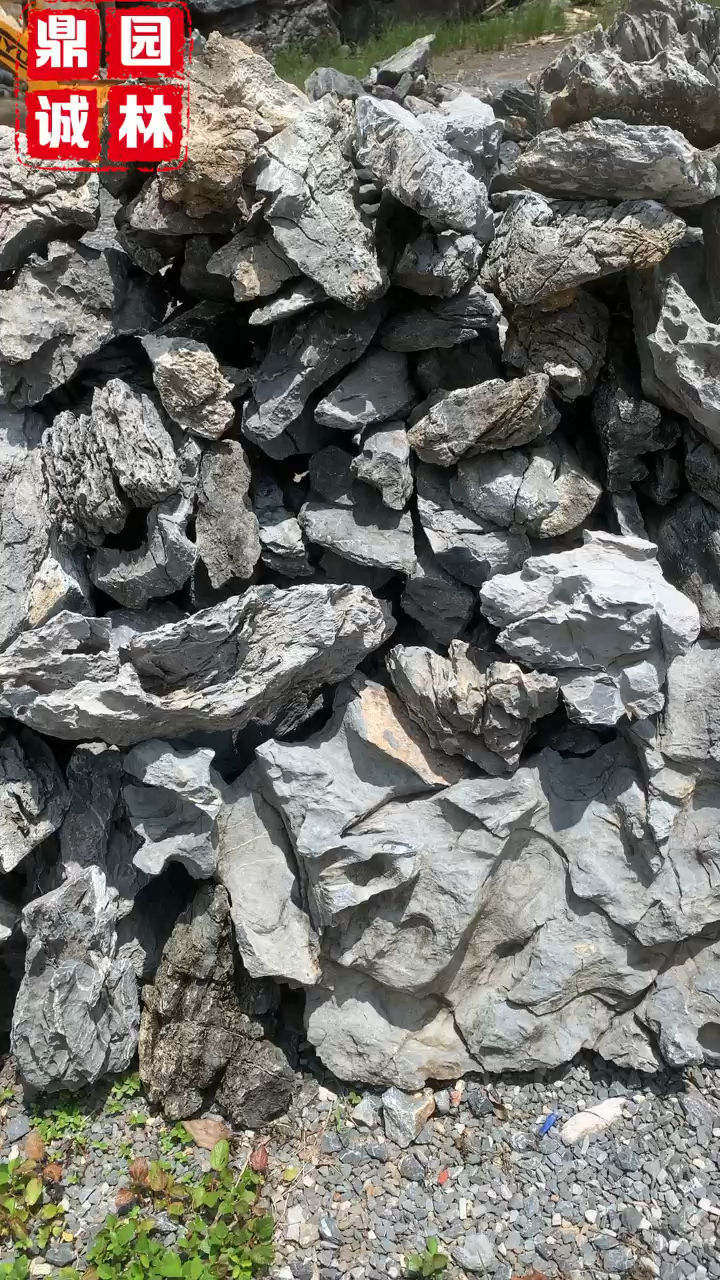 英石青龙石石场批发大量现货,水族鱼缸假山园林景观造景石