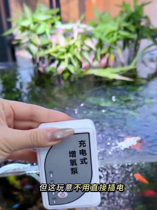 鱼缸不用插电的氧气泵,不管是停电还是外出钓鱼都能避免小鱼缺氧