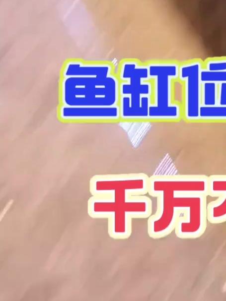鱼缸位置有讲究 千万不要摆错