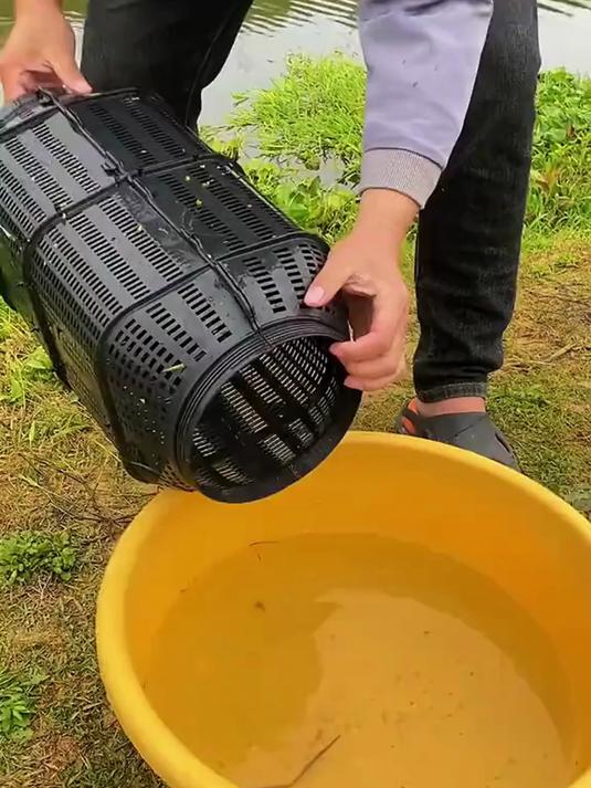 家人们快冲这捕虾网搭配特大号捕鱼笼轻松折叠携带方便爆笼超简单