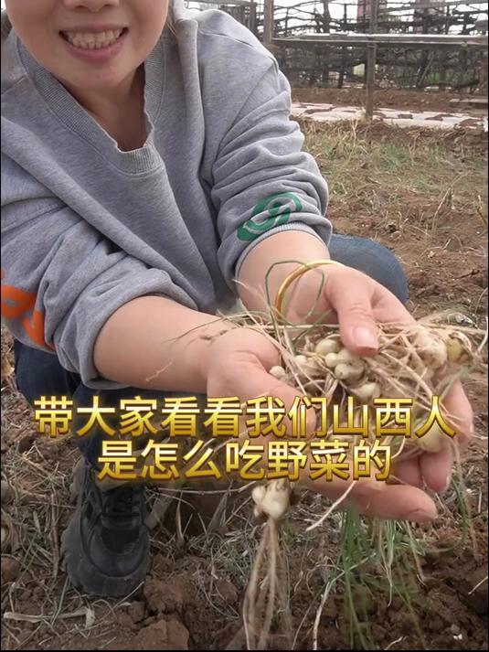 野蒜饺子 山西野菜的吃法有很多 带大家看看山西人是怎么吃野菜的