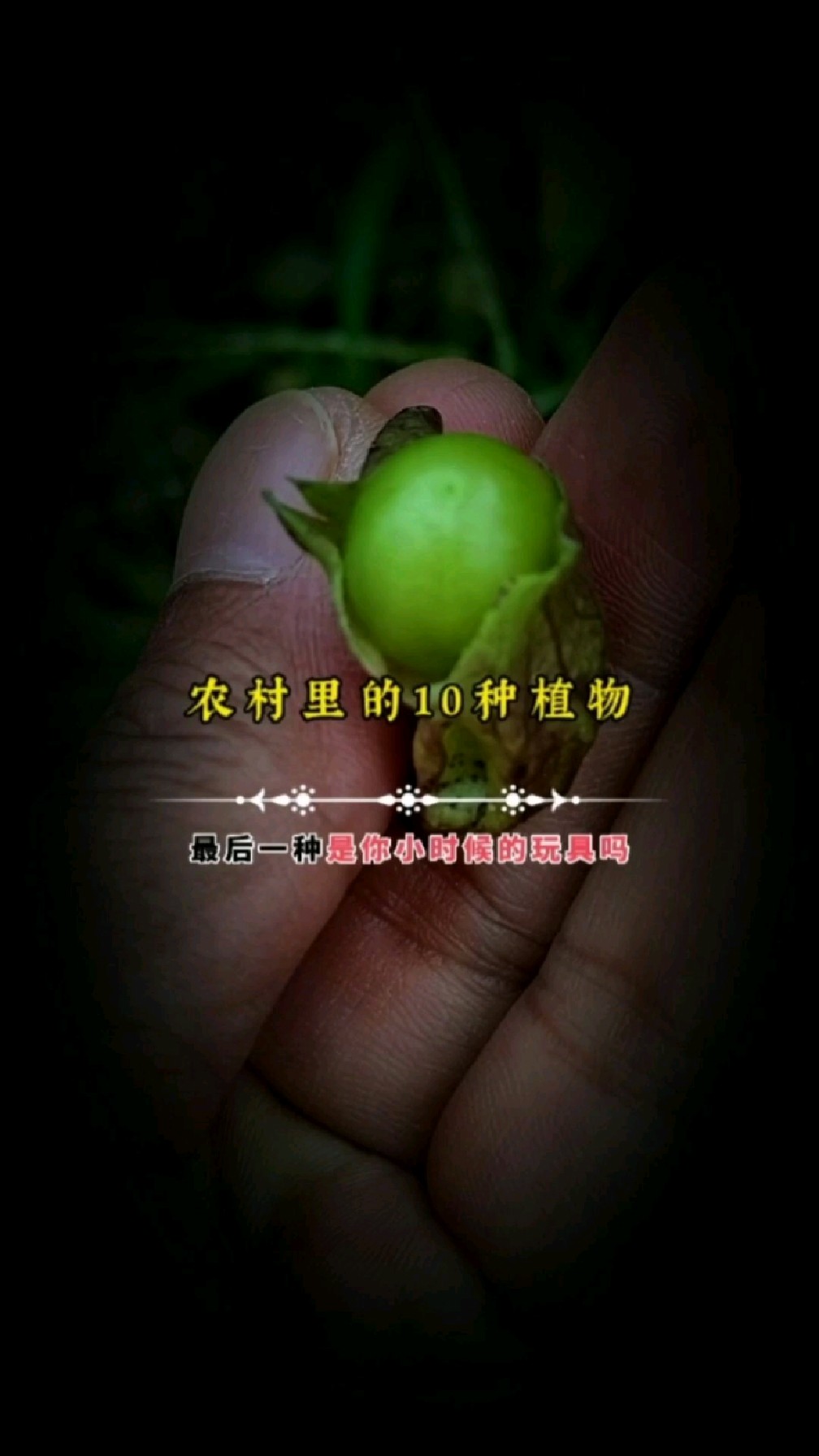 农村里的10种药用植物,最后一种你们家乡叫它什么名字?