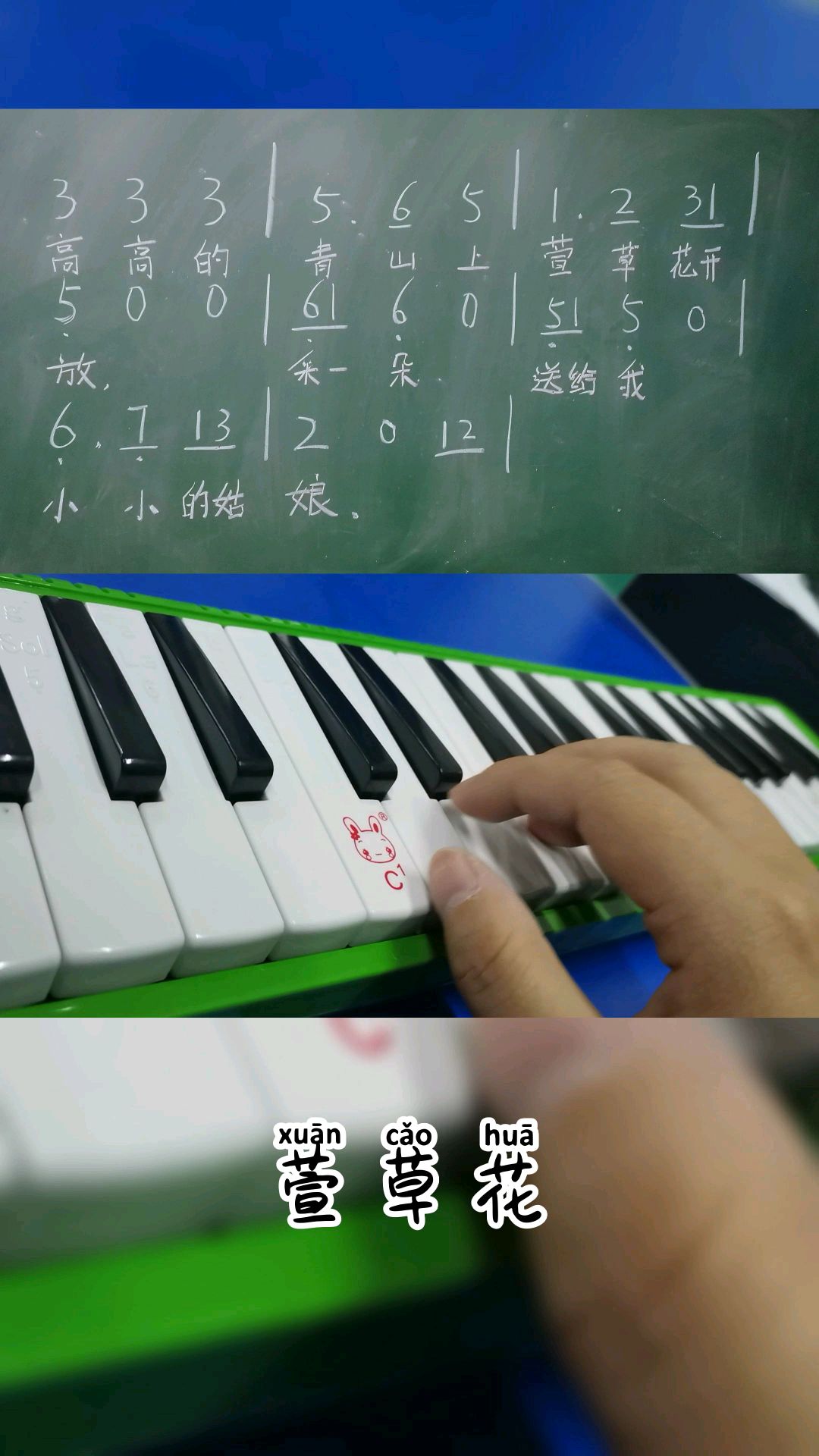 《萱草花》口风琴教学