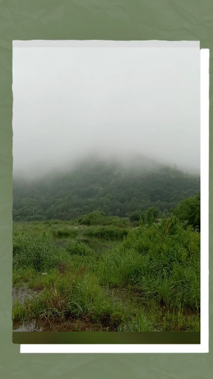 每一个清晨都是打满的鸡血,奋斗一天的开始!