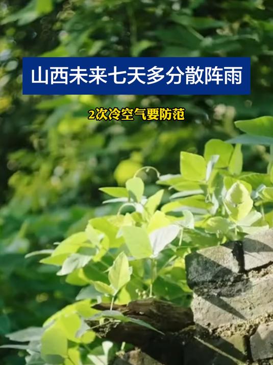 山西未来七天多分散阵雨 2次冷空气要防范 新闻来源:山西省气象台 制作:田辰 #山西 #天