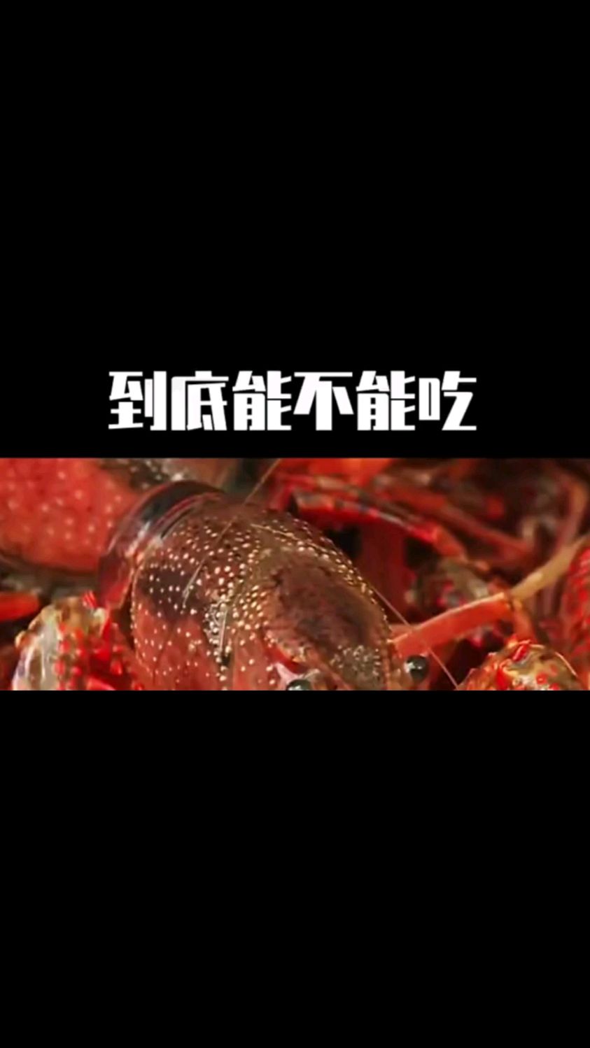 小龙虾头里的是屎还是黄?到底能不能吃?