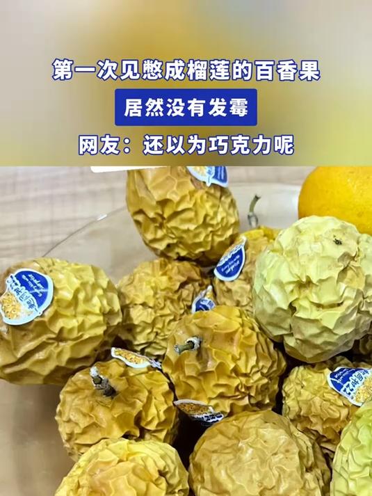 第一次见憋成榴莲的百香果,居然没有发霉,网友:还以为巧克力呢