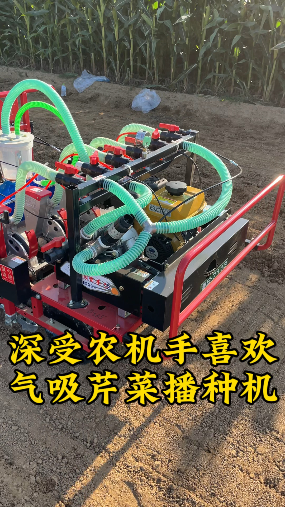 大顺气吸芹菜播种机