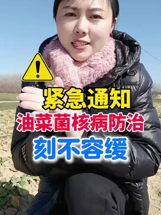 油菜菌核病咋防治?刻不容缓!快用高产套餐