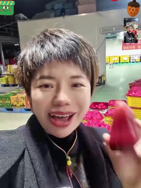 水润莲雾 果肉脆爽 老少皆宜