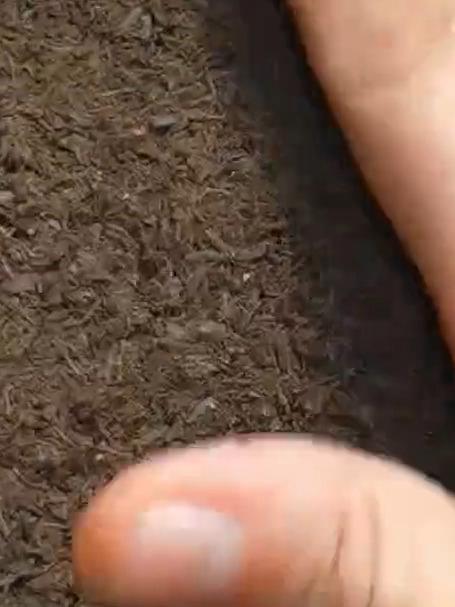 开箱朋友送的白色大肉虫