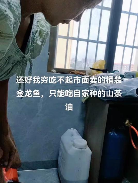 只吃自家种的山茶油,市面92,95太贵了吃不起