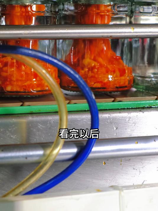 广东潮汕风味 手工自制 蒜蓉辣椒酱 下饭酱 香辣剁椒酱 拌饭酱