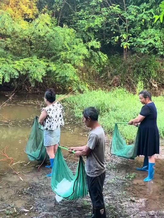以后再也不用花钱买鱼了,用这个折叠鱼笼,自己就能抓到大鱼!