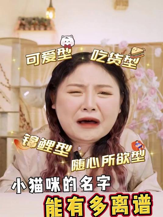 猫咪名字大赏,快看看有没有你家猫咪的名字 新手养猫