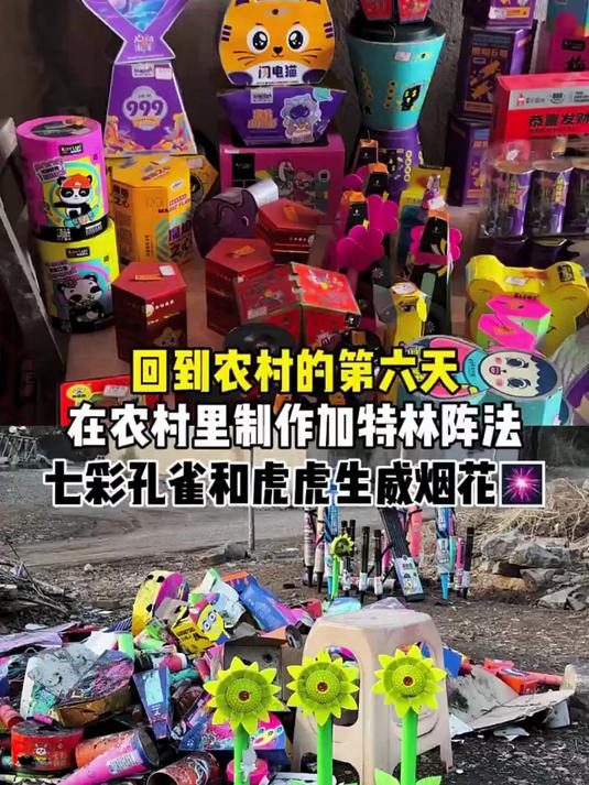 回到农村的第六天在农村里制作加特林阵法