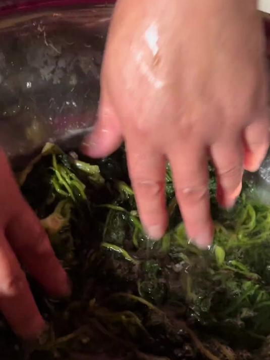 今天炒点腊菜吃