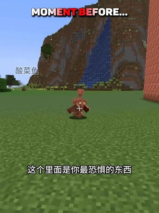 生物最害怕的东西#我的世界##MC##MC不灭##Mc酸菜鱼##我的世界新春嘉年华##游戏
