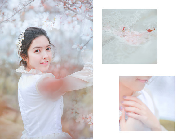 图片[14]-樱花白-六色网