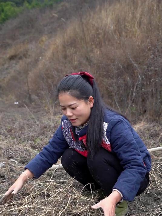 云贵川霸王野菜 估计只有懂他的人才懂他的美味
