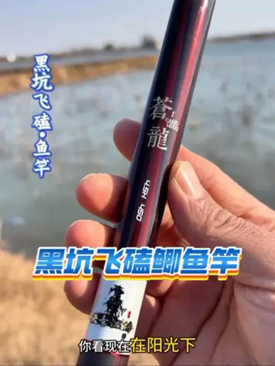 曾大盆力荐!黑坑钓鲫选苍龙 16.5H 鱼竿超棒