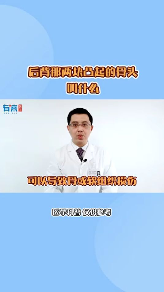 后背那两块凸起的骨头叫什么?