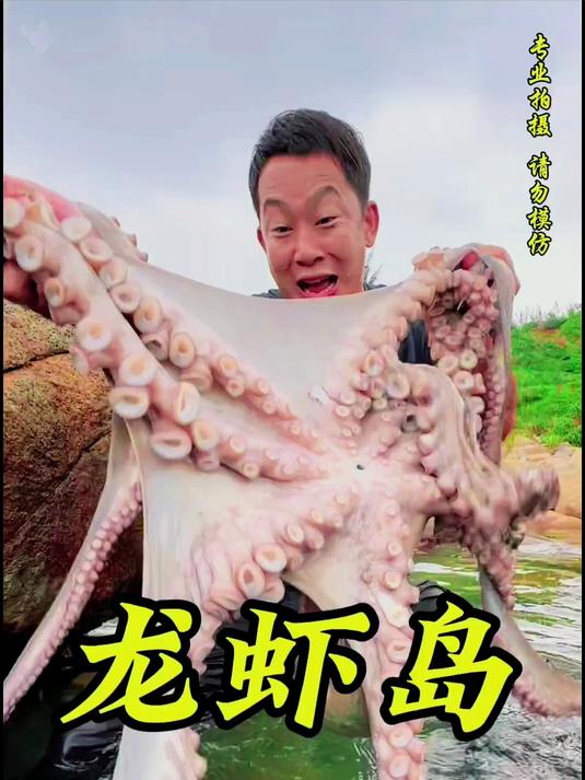 龙虾岛生存,发现超级大章鱼