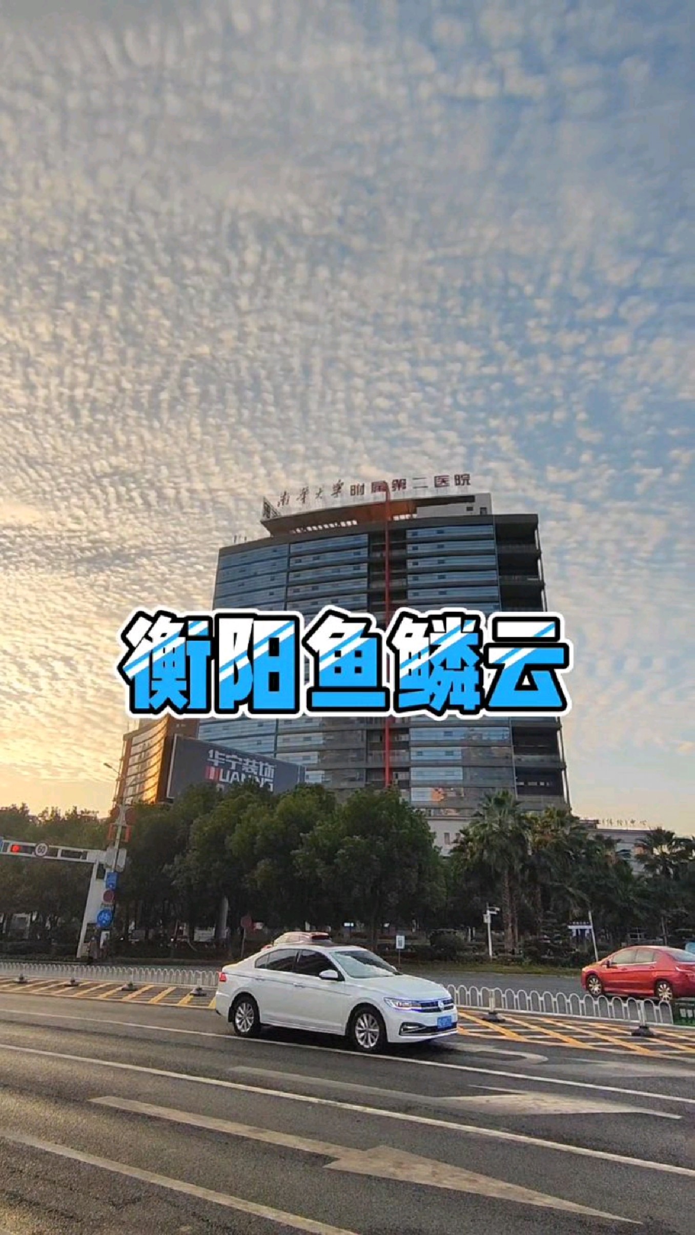 天上鱼鳞斑,晒谷不用翻。10月21日晨,湖南衡阳高新区,天空又现鱼鳞云。