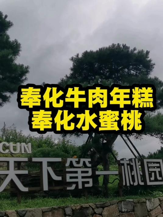 奉化牛肉年糕和奉化水蜜桃