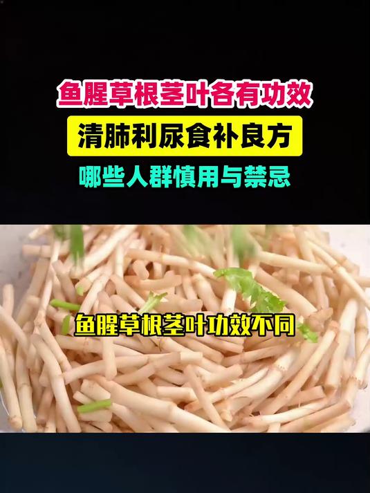 鱼腥草根、茎、叶功效不同，清肺利尿该怎么吃，哪些人禁用？#扬帆养生季#