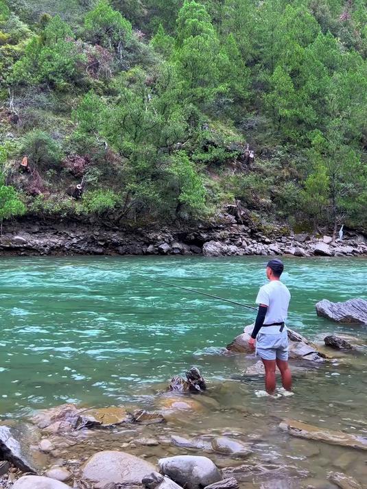 钓鱼多年，第一次遇到这么夸张的鱼情