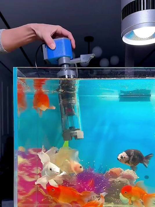 水族过滤设备怎么选?鱼缸这俩神器别错过!
