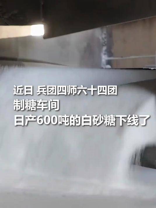 甜菜是怎么变成糖的?一起来看它的奇妙变身!