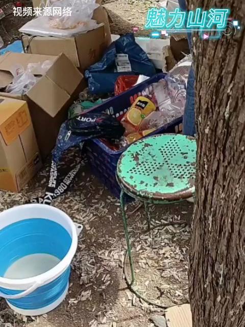 安徽淮南上窑森林公园内,网友曝光摊贩在路边打着“鲜榨橙汁”旗号,竟是直接用大瓶果粒橙成品饮