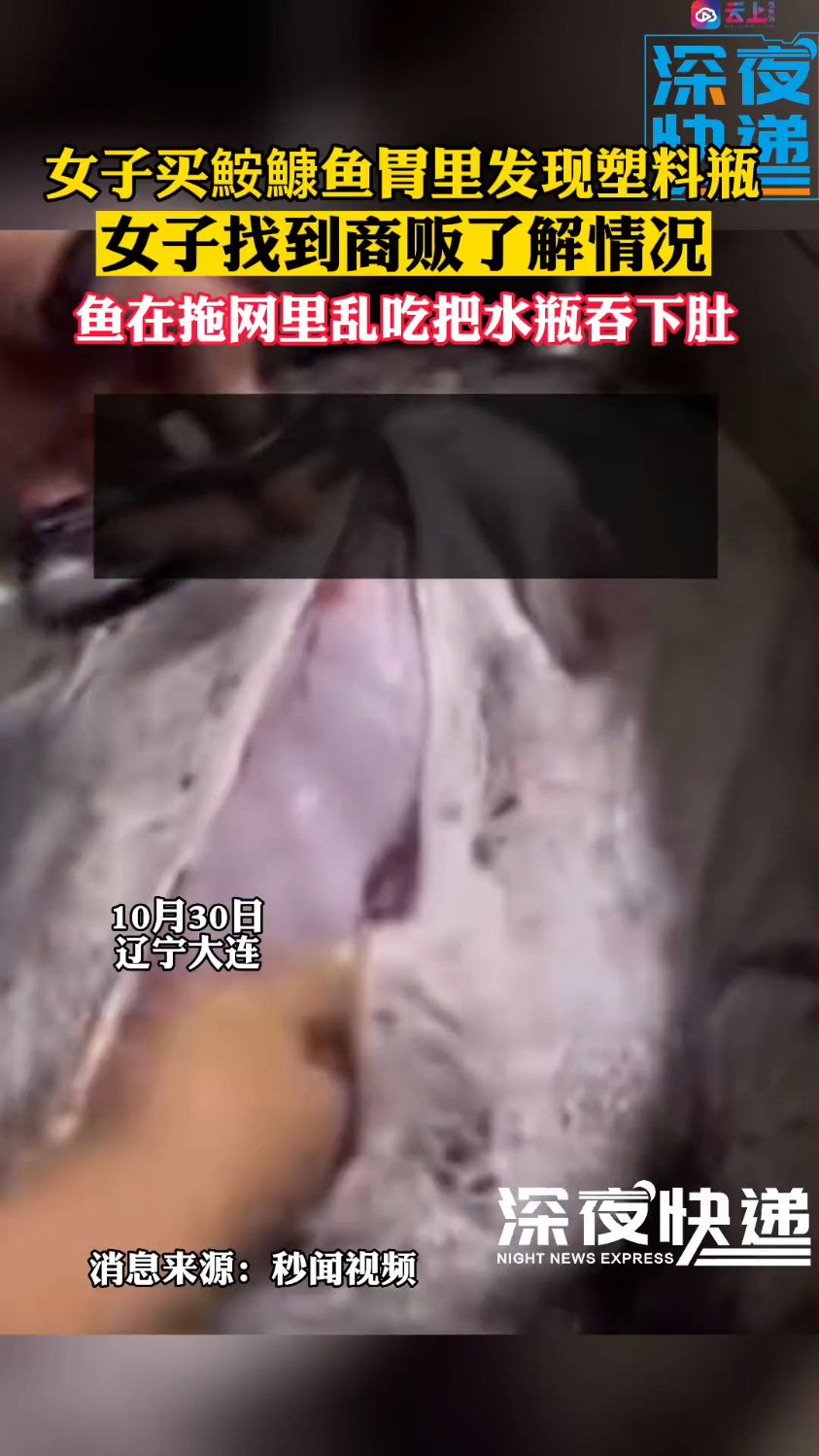 女子买鮟鱇鱼胃里发现塑料瓶,鱼在拖网里乱吃把水瓶吞下肚(云上深夜快递)