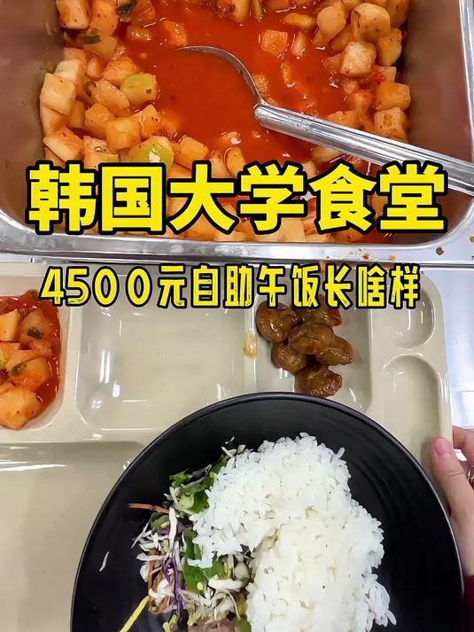 韩国大学食堂4500元自助午饭长啥样？