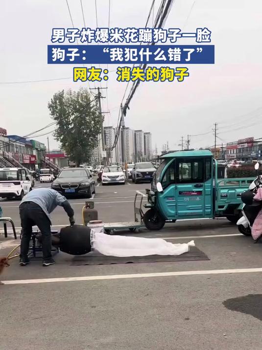 男子炸爆米花蹦狗子一脸，狗子：我犯什么错了，网友：消失的狗子