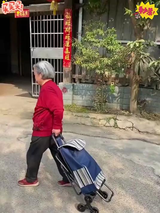 这款买菜小推车,装得多还推得稳
