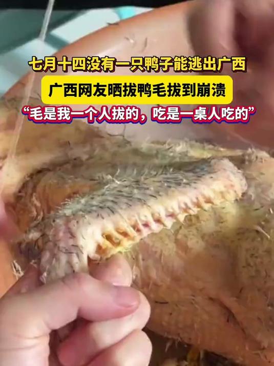 听说七月十四广西人都要吃鸭子!