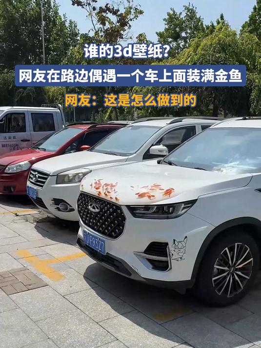 谁的3d壁纸？网友在路边偶遇一个车上面装满金鱼