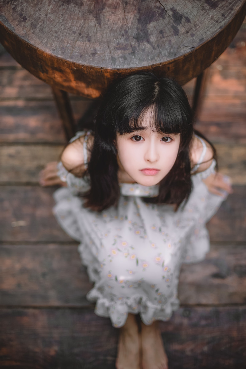 图片[26]-雏菊-六色网